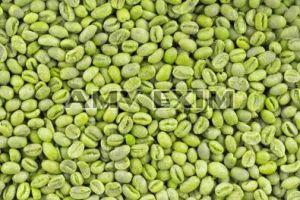 Green Coffee Beans