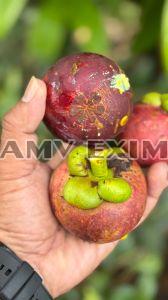 Fresh Mangosteen