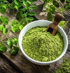 Moring Leaf Powder