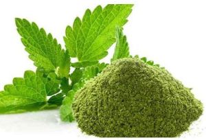 Dehydrated Mint Leaves Powder