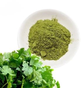 Dried Coriander Leaves Powder