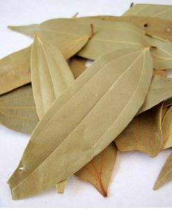 Uttarakhand Natural Dried Bay Leaves