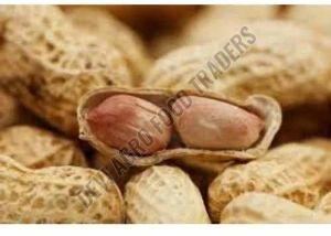 Dried Groundnut Shell Kernel