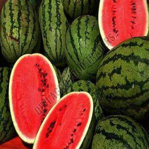 Fresh Watermelon