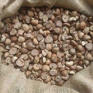 Betel Nuts