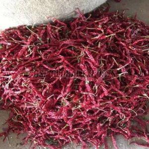 Stemmed Byadgi Dried Red Chilli