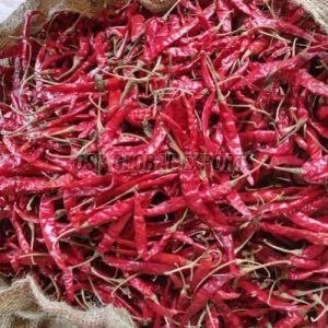 Teja S17 Dried Red Chilli