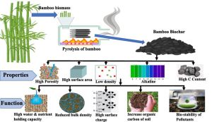 Bamboo Biochar