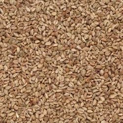 Whole Celery Seeds