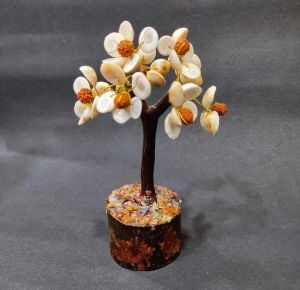Gomti Chakra with Rudraksh Tree