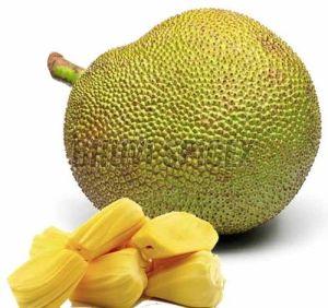 A Grade Fresh Jack Fruit