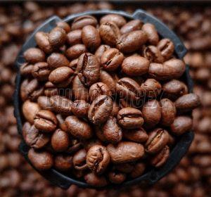 Premium Coffee Beans