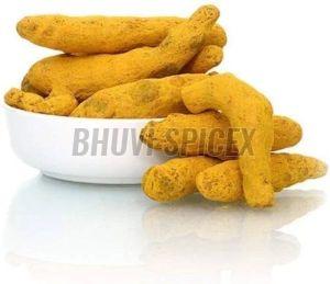 Raw Turmeric Finger