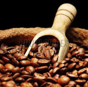 Unroasted Coffee Beans