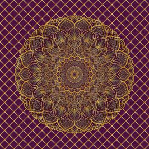 Decorative Mandap Fabric
