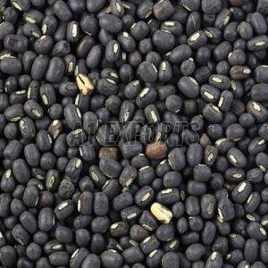 A Grade Black Gram