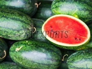 A Grade Fresh Watermelon