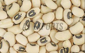 Field Beans