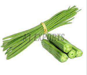 Fresh Green Drumstick