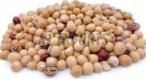 High Protein Bambara Beans