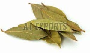 Natural Bay Leaf