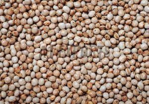 Natural Pigeon Peas