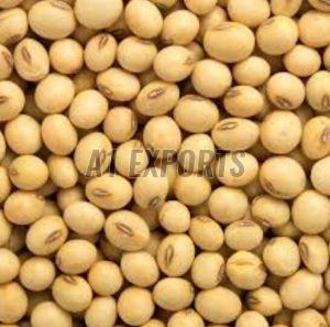 Natural Soybean Seeds