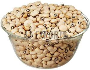 Premium Cowpea Beans