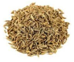 Premium Cumin Seeds