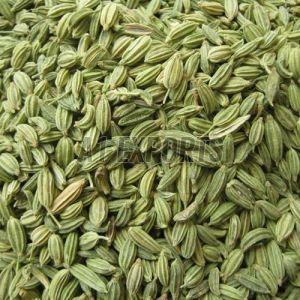 Premium Fennel Seeds