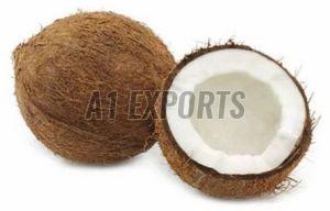 Premium Fresh Coconut
