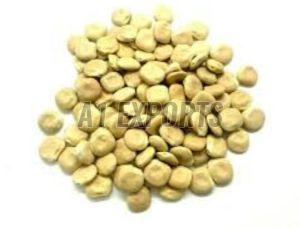 Premium Lupin Beans