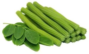 Fresh Green Drumstick