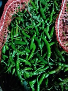 Fresh Green Chilli