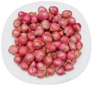 Small Red Onion