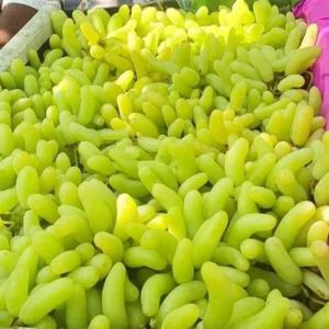 Super Sonaka Fresh Grapes
