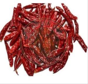 273 Wrinkled Red Chilli