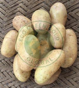Brown Kufri Bahar Potato