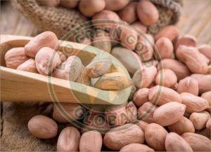 Java Groundnuts
