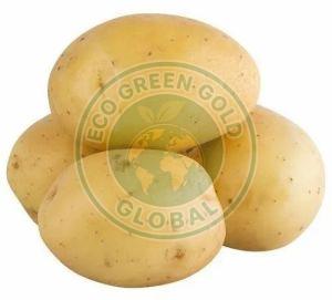 Fresh Laukar Potato