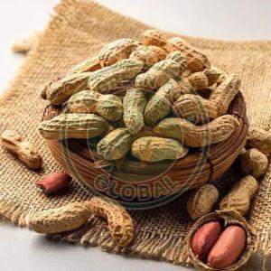 Raw Groundnuts with Shell