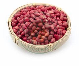 Red Skin Peanut