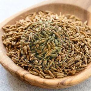 Singapore Quality Cumin Seeds