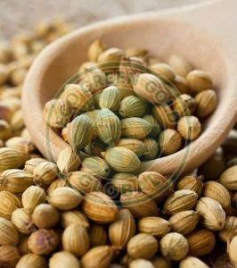 Whole Coriander Seed