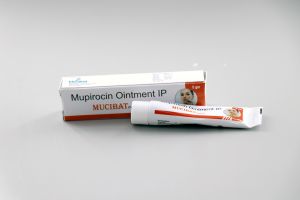 Mupirocin 2% Ointment