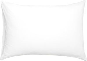 13x18 Inch Filled Pillow