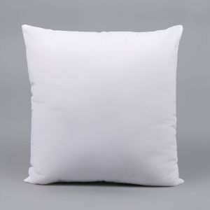 19x19 Inch Filled Cushion