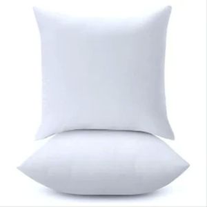 21x21 Inch Filled Cushion