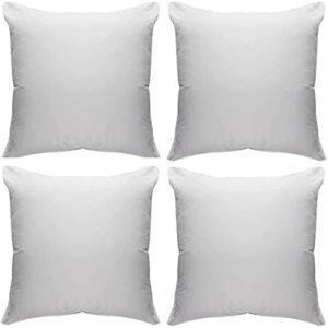 25x25 Inch Filled Cushion