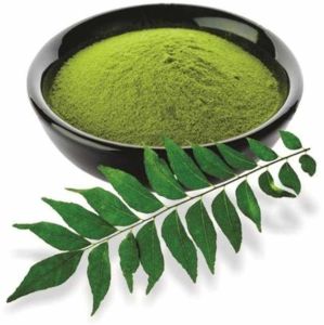 Dehydrated Curry Leaves Powder